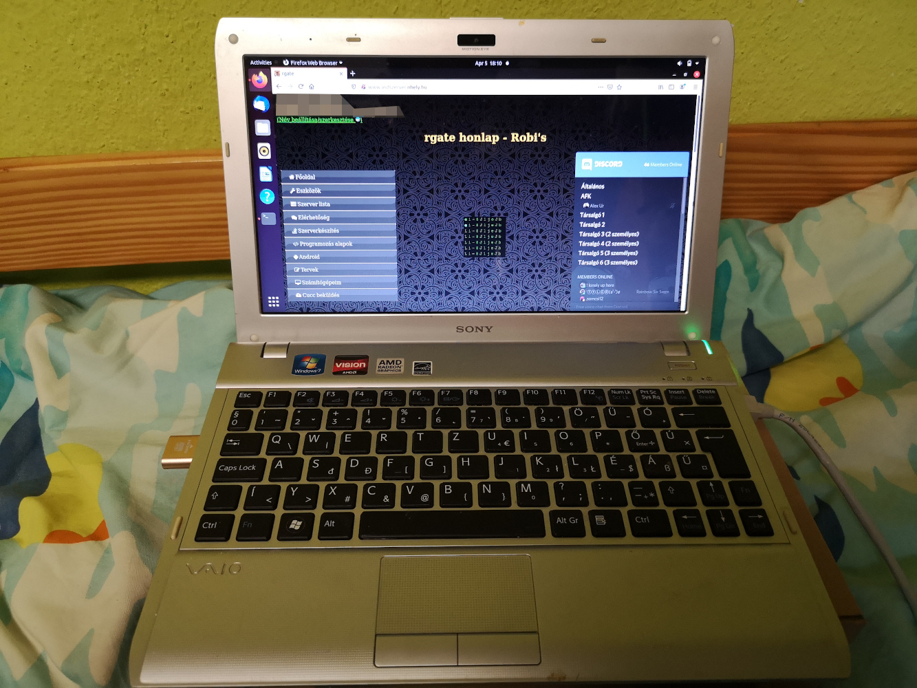 Sony laptop